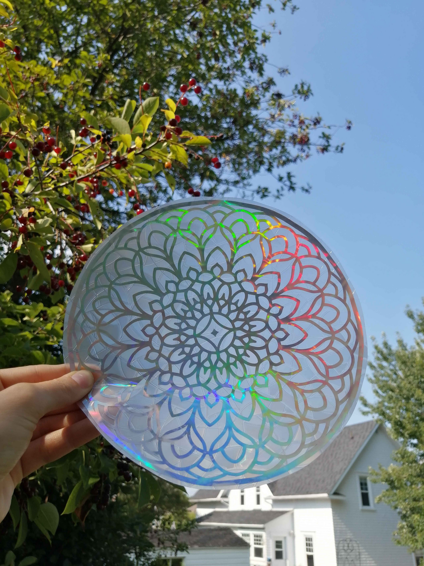Collant suncatcher - Mandala Dandelion