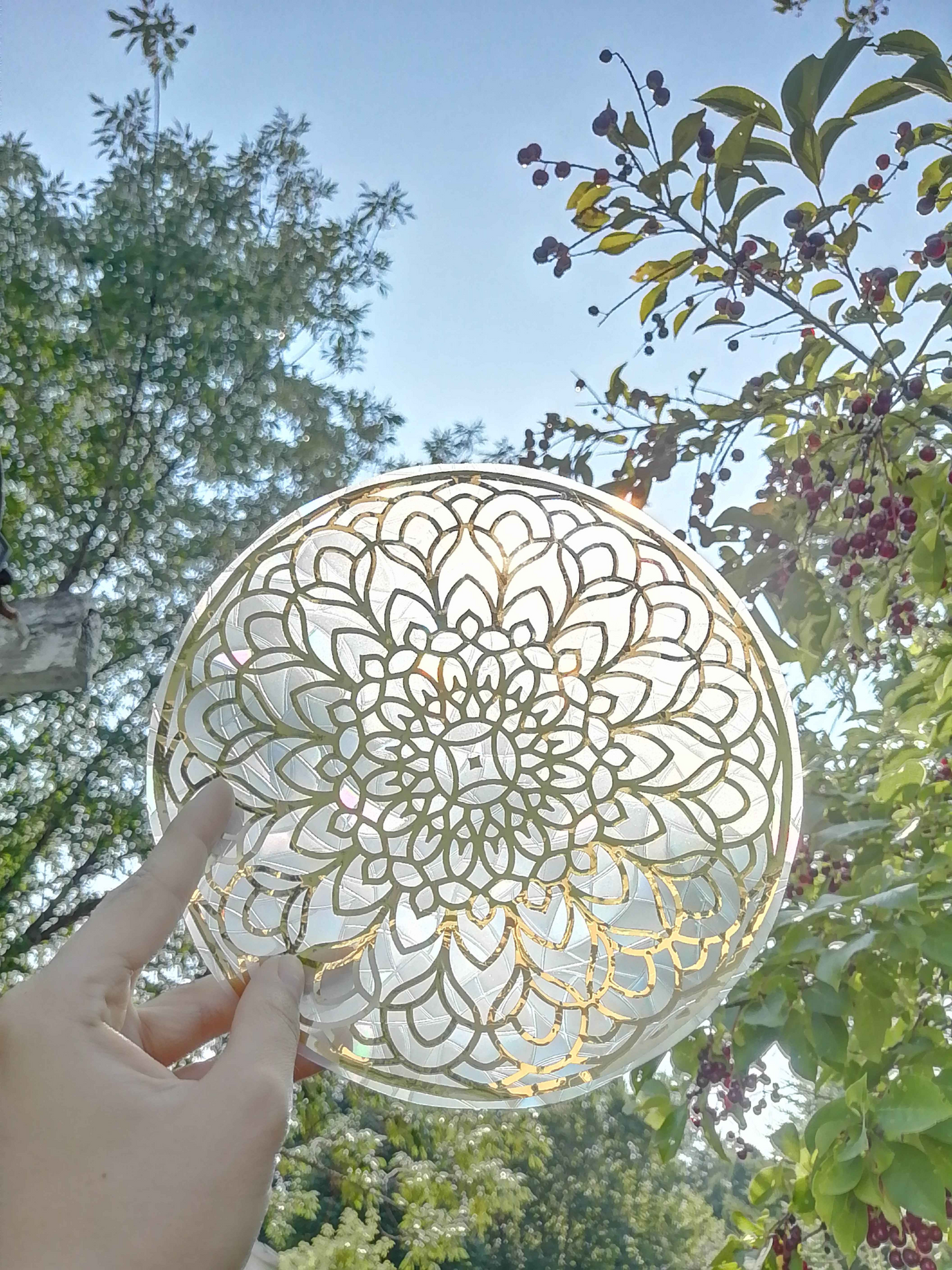 Collant suncatcher - Mandala Dandelion