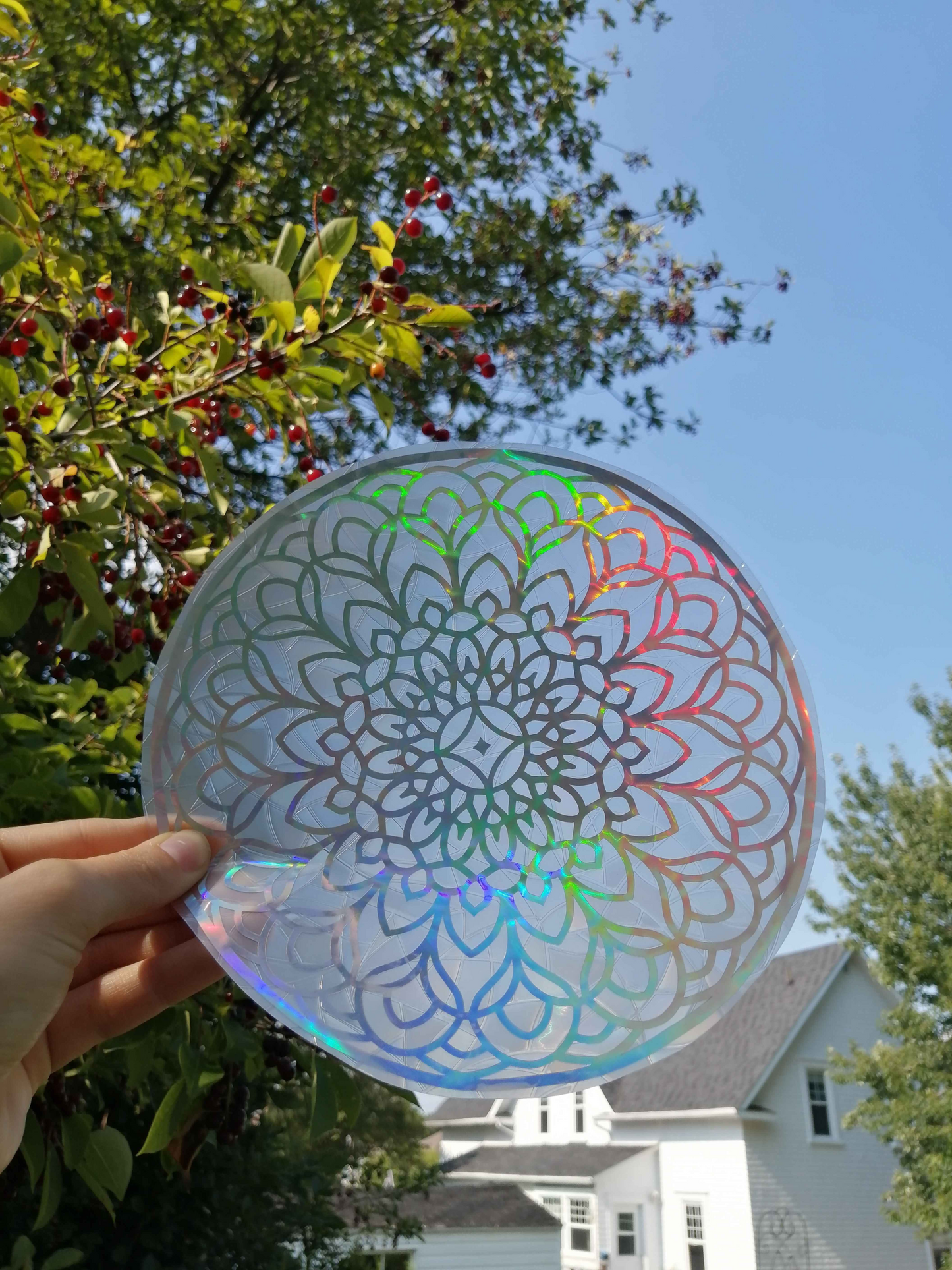 Dandelion Mandala - Suncatcher Sticker