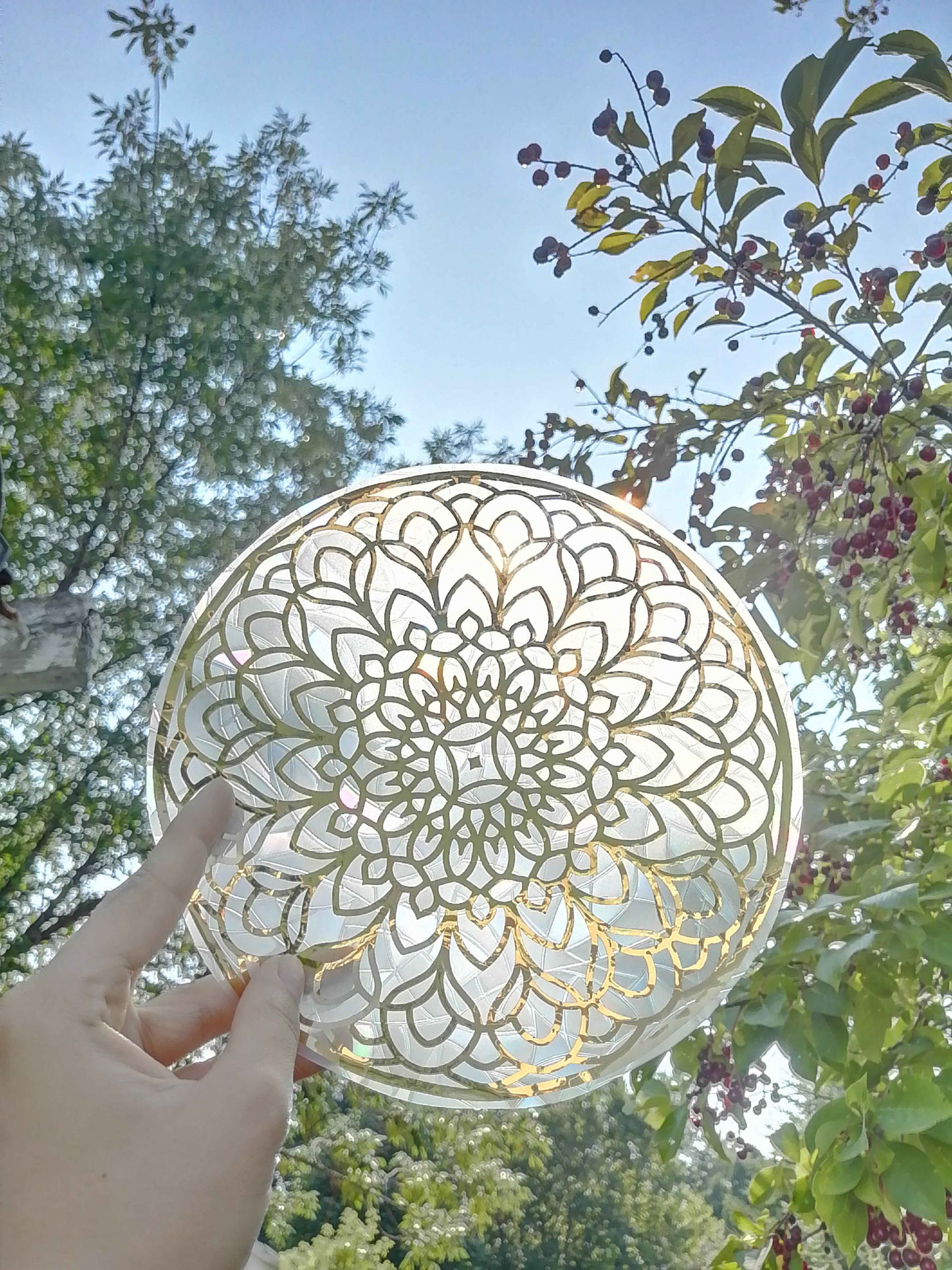 Mandala Dandelion - Sticker Suncatcher